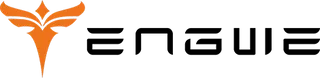 Engwe discount code
