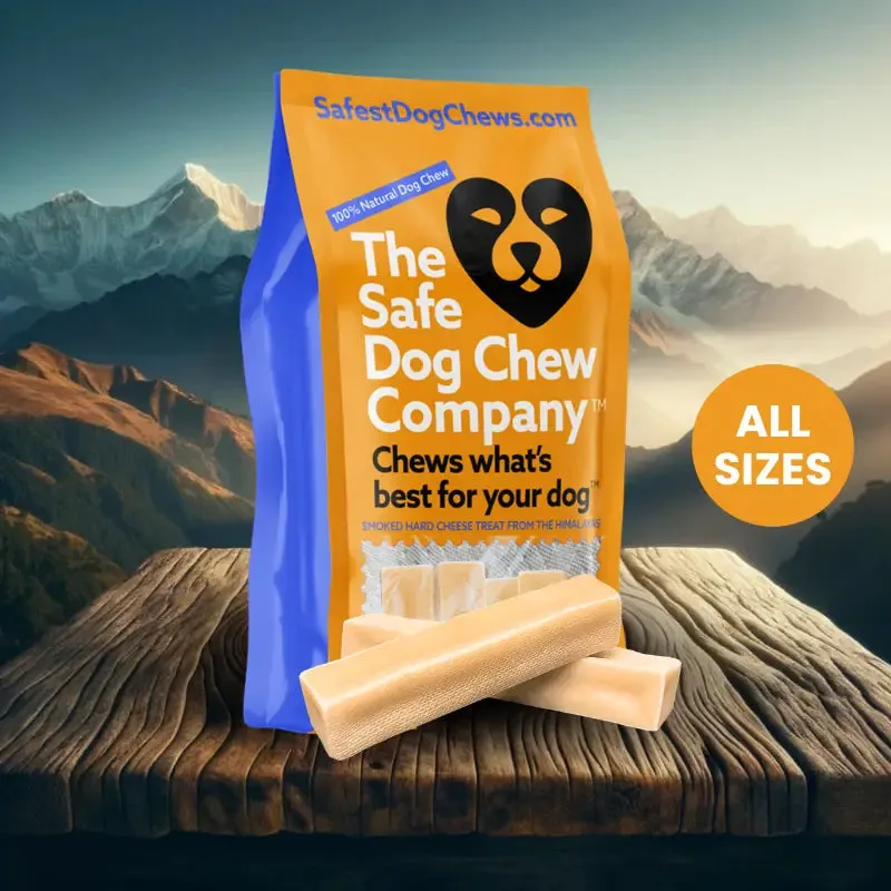 Safest Dog Chews himalayan yak cheese chew