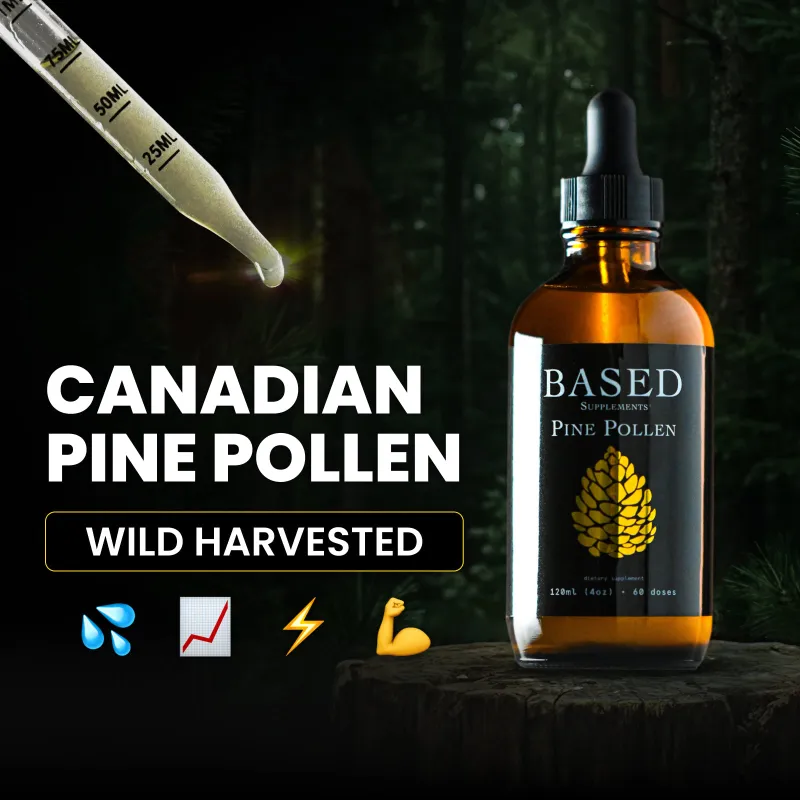 Based Supplements pine pollen supplement