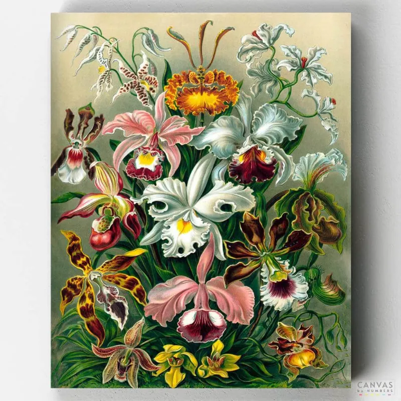 Canvas by Numbers old paintings Paint by Numbers kit