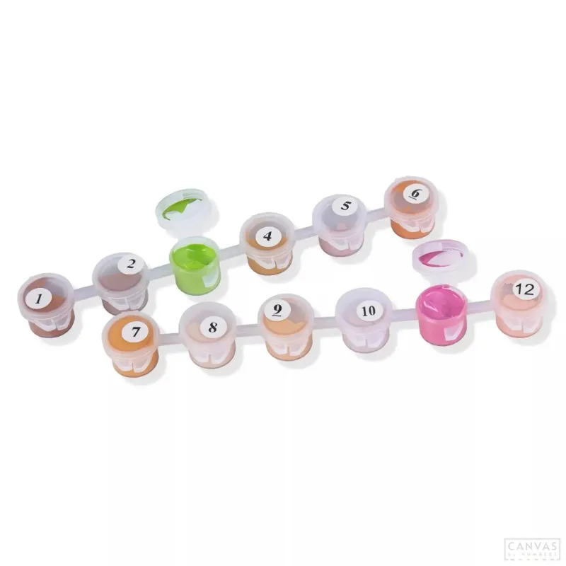 Canvas by Numbers Extra Paint Kit Paint Kit