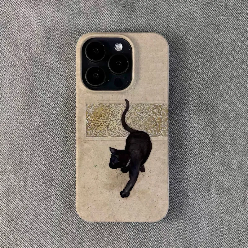 Litlookz Studio aesthetic phone cases