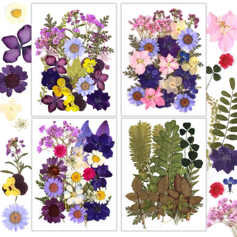 Resiners pressed flowers for resin art