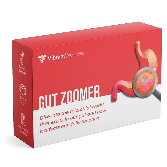 Vidal Coaching gut zoomer lab test