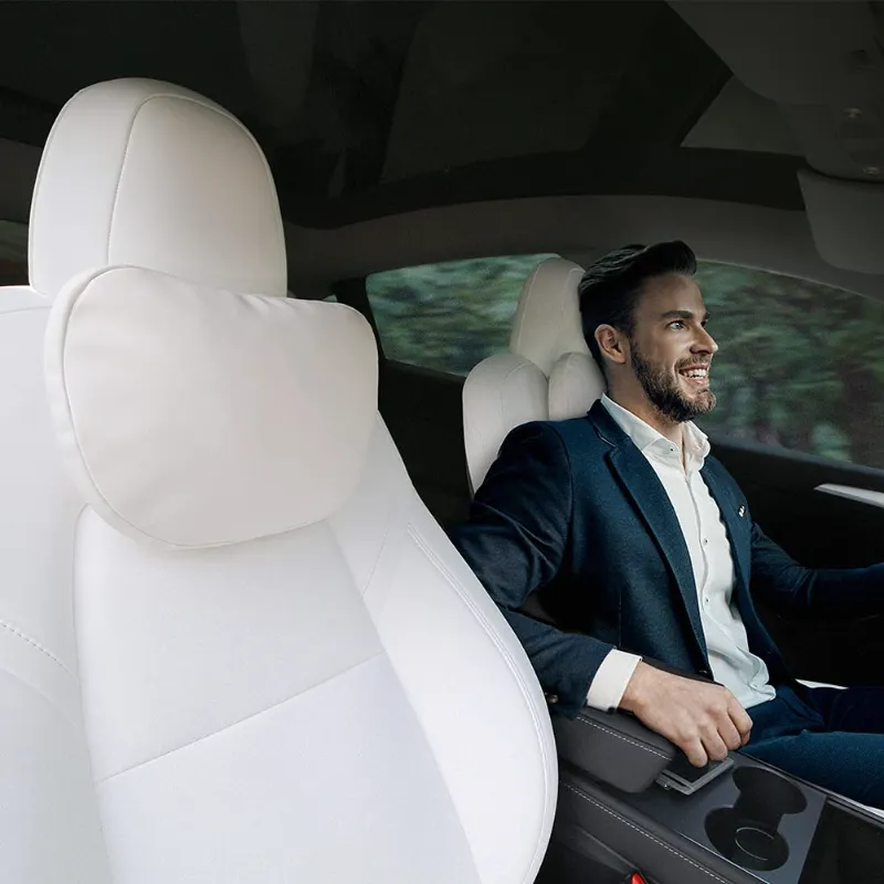Tesery tesla model 3 model y pillows