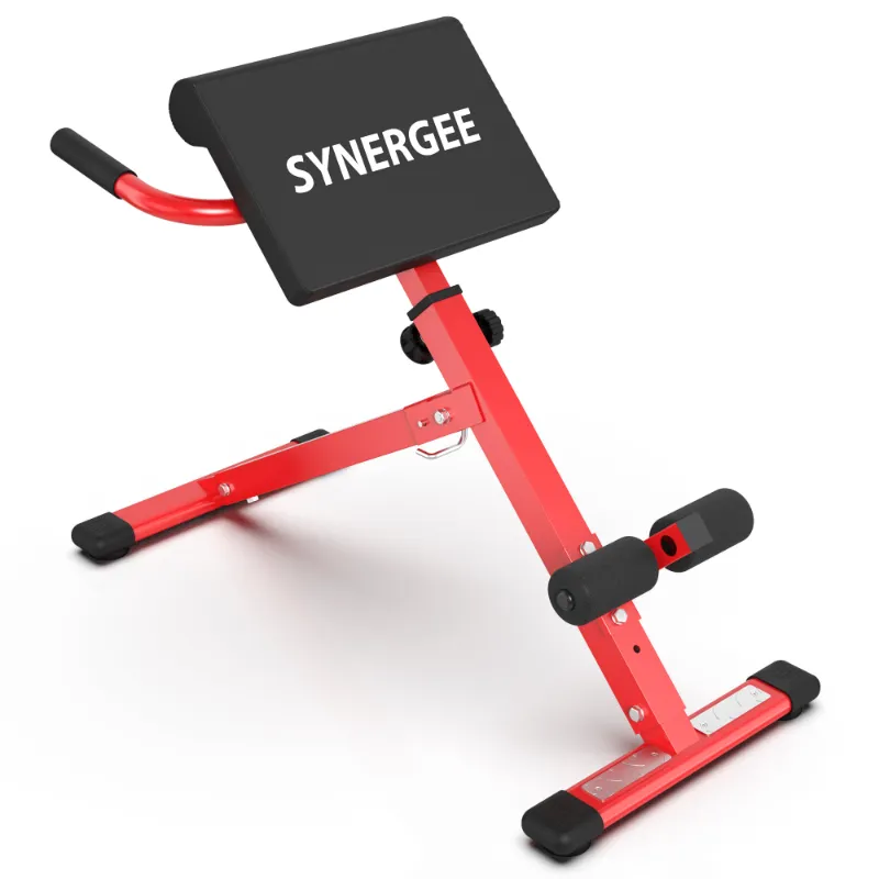 Synergee roman chair roman chair