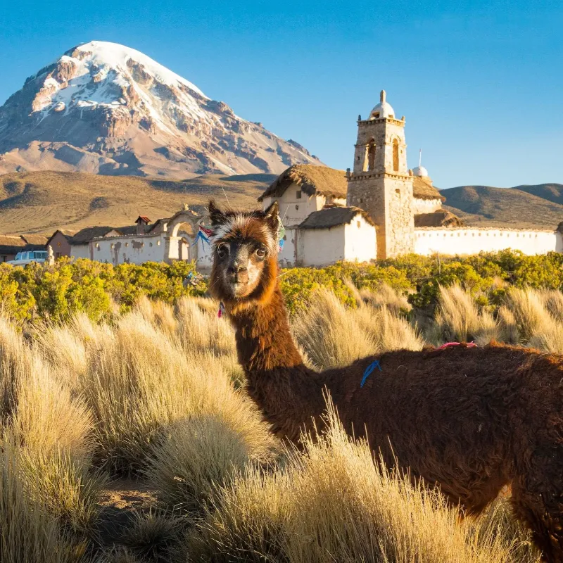 ByteSIM esim south america bolivia coverage digital SIM card