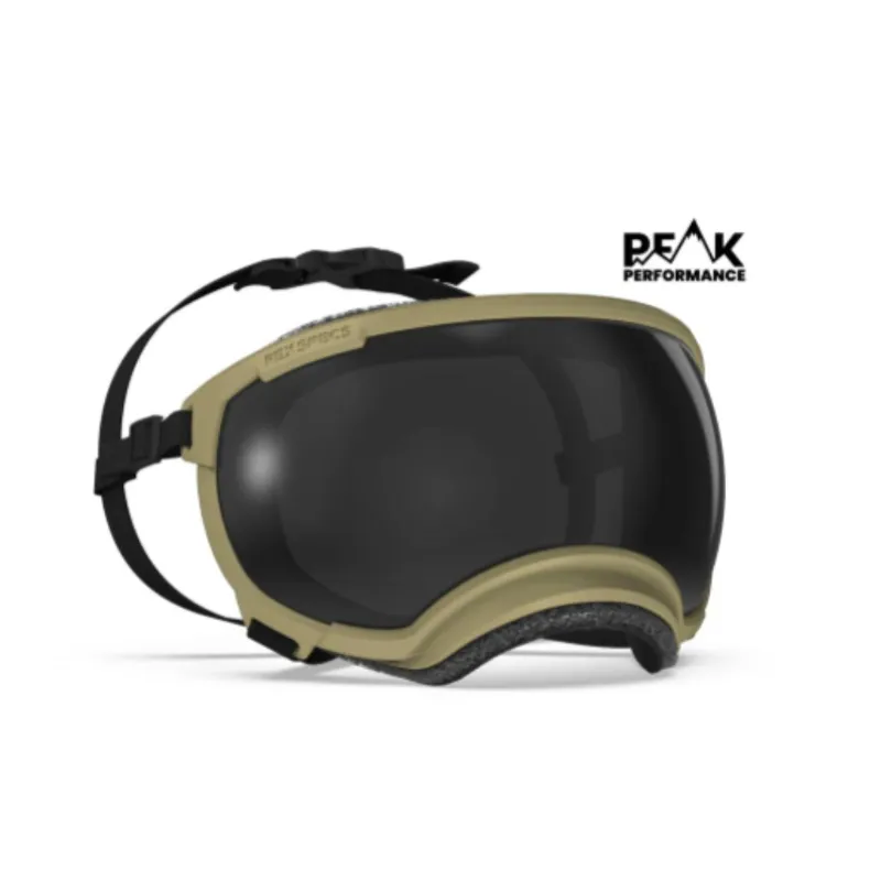 Rocky Mountain Dog dachshund goggles