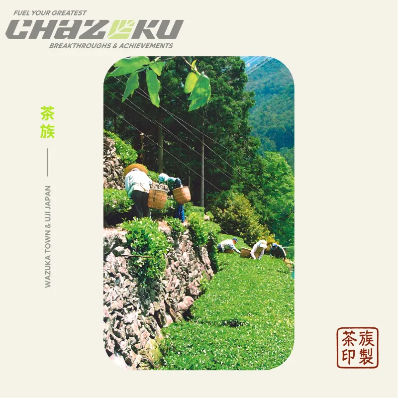 Chazoku matcha measuring spoon