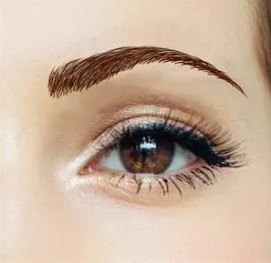 Godiva's Secret Wigs diva eyebrows eyebrows