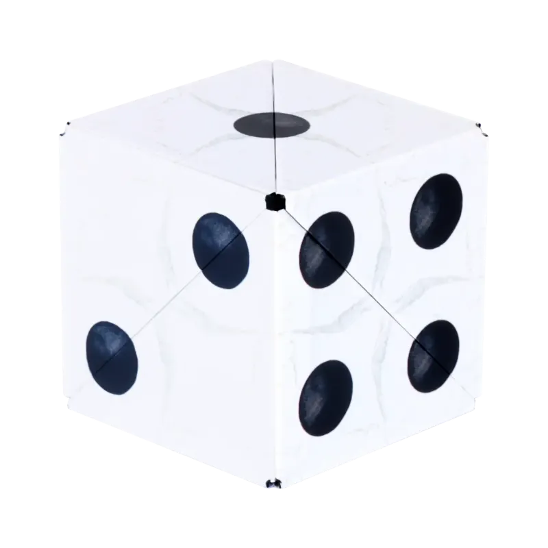 Fun In Motion Toys shashibo cube dice puzzle dice
