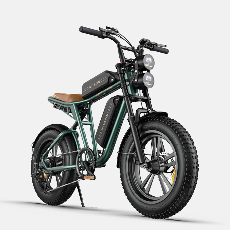 Engwe 26 inch bike with standard wheel size