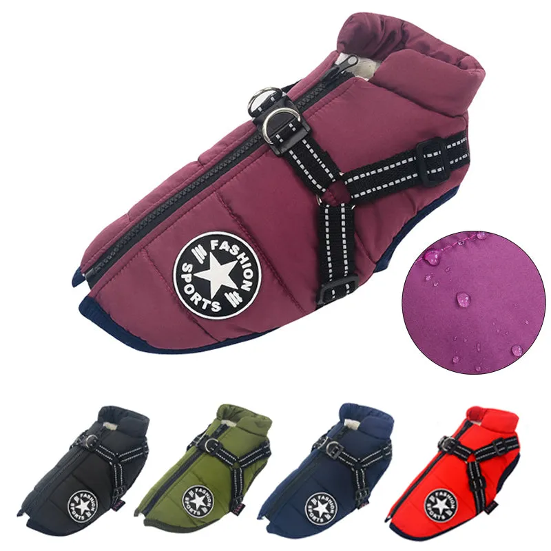 Dogs Harness Australia waterproof dog jacket