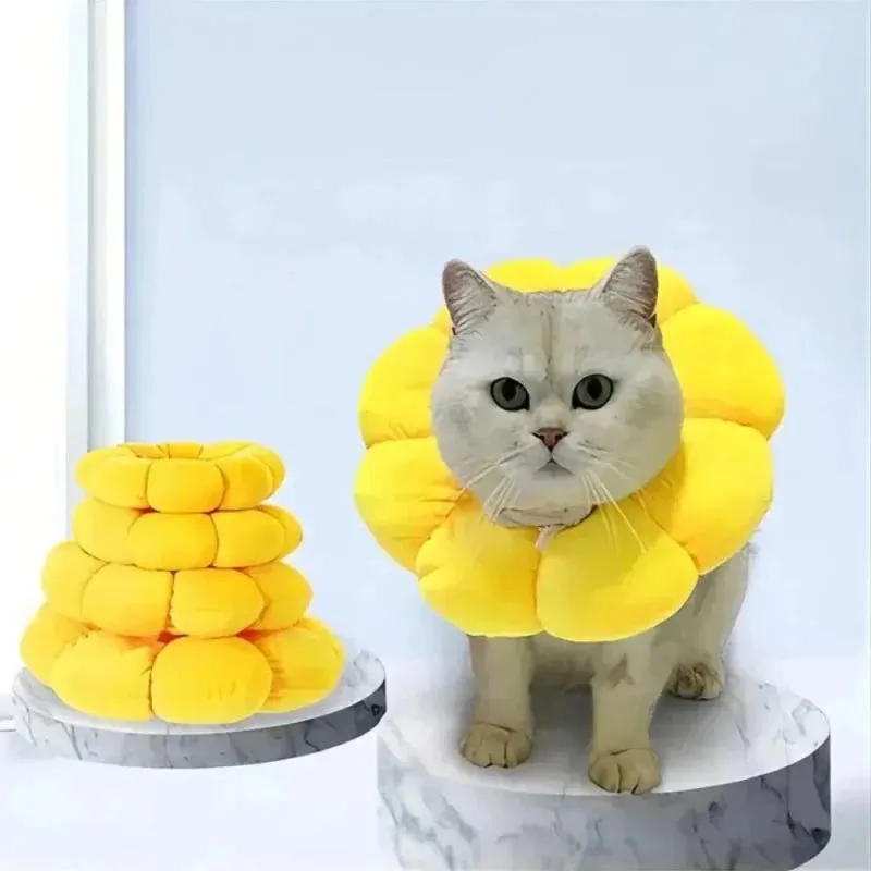 Collier de protection antiléchage pour chat